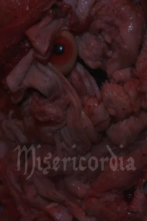 Misericordia