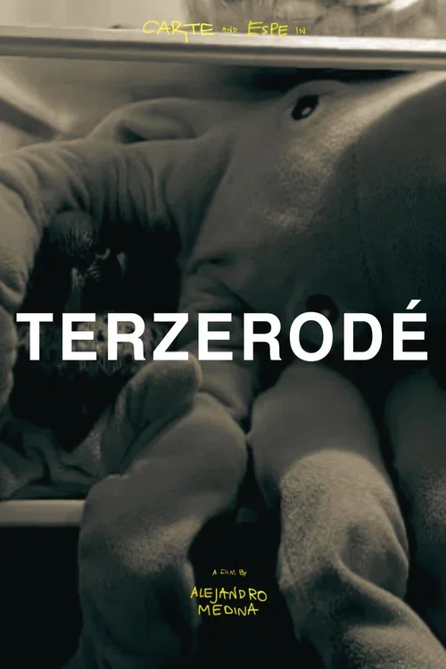 Terzerodé