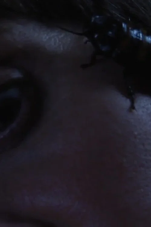 Bug Complex