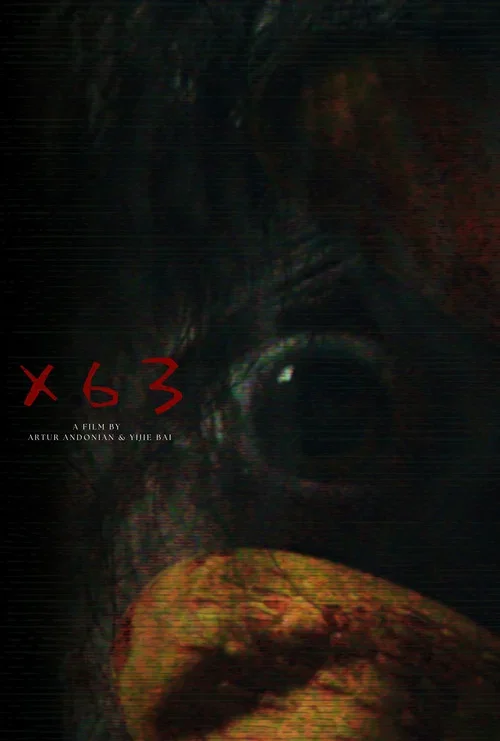 X63