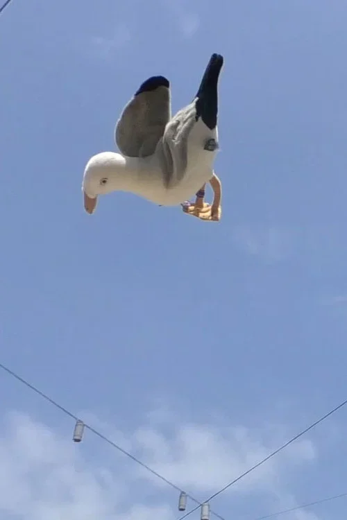 Double Jump