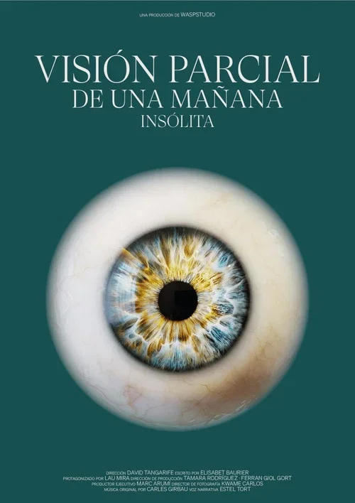 Visión Parcial de una Mañana Insólita