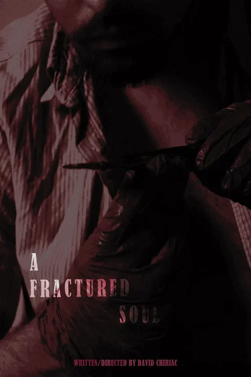 A Fractured Soul