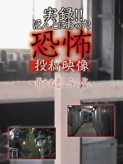 Actual Record! Real Horror Posted Video: The Unfading Figure of Sorrow (2023)