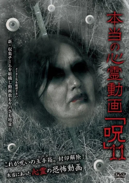 Hontō no Shinrei Dōga 'Noroi' 11 (2014)
