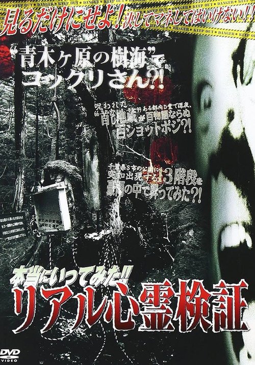I Really Went There!! Real Supernatural Investigation (2008)