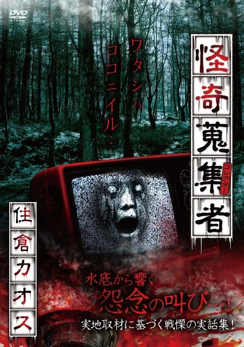 Mysterious Collector Kaosu Sumikura (2018)