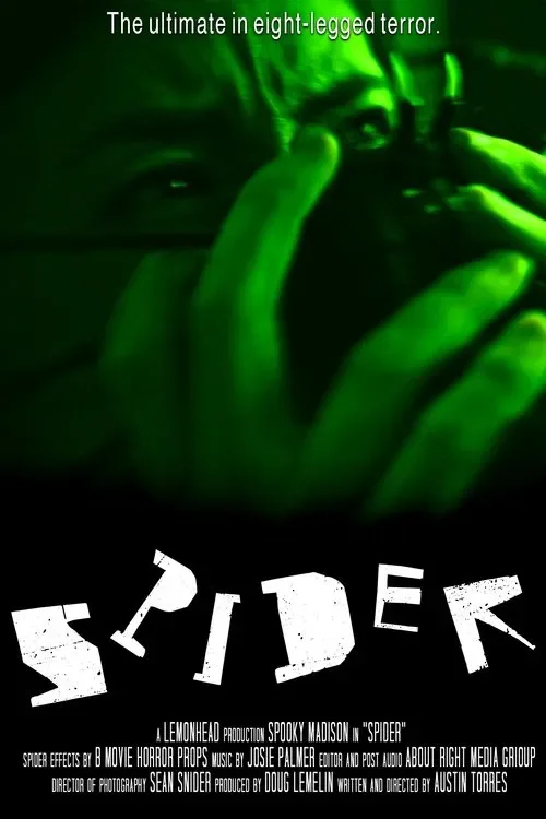 Spider