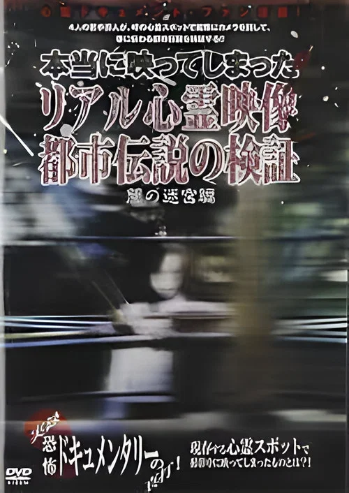 Investigation of Real Supernatural Footage and Urban Legends: Labyrinth of Darkness Edition (2008)