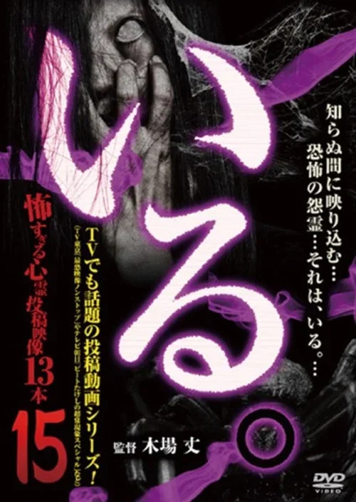「Iru.」~ Kowasugiru Tōkō Eizō 13-hon ~ Vol.15 (2016)