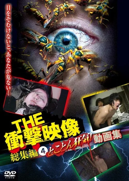 THE Shōgeki Eizō Sōshūhen (4) Tokoton Kyōki! Dōga-shū (2013)