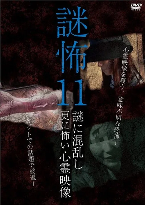 謎怖 11 謎に混乱し更に怖い心霊映像