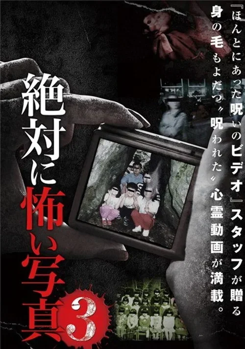 Absolutely Scary Photographs 3 (2013)