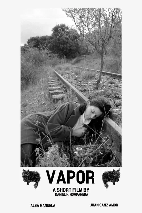 Vapor