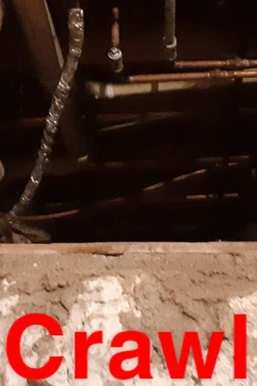 The Crawlspace