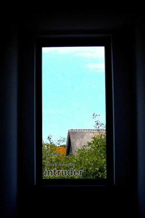 vacation intruder (2026)
