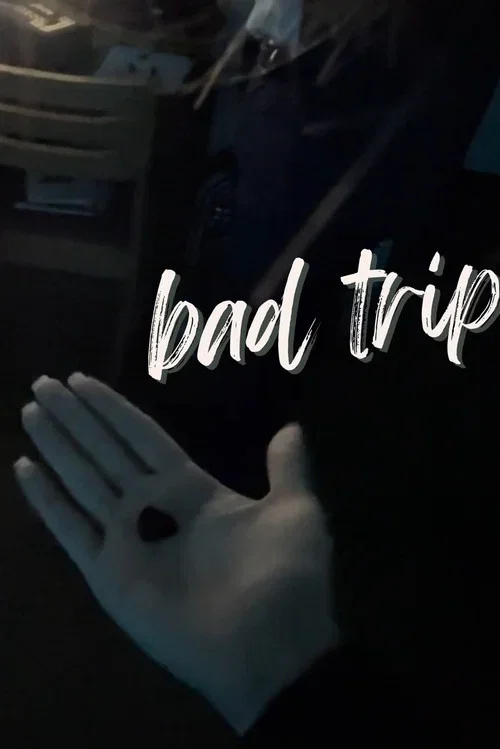 Bad Trip (2026)