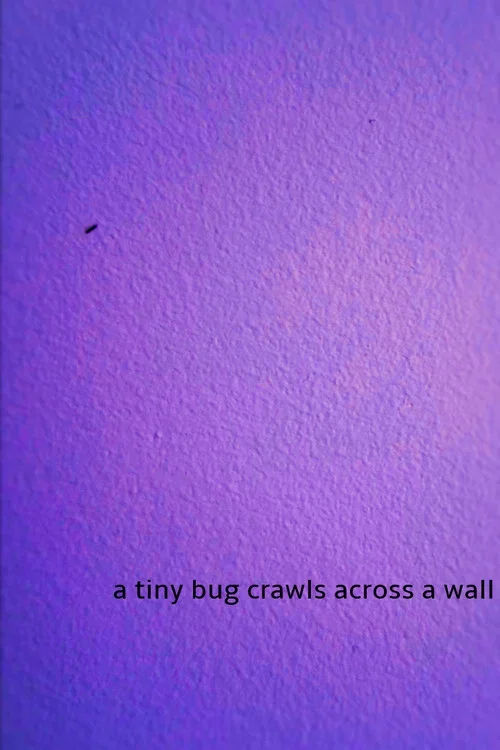 a tiny bug crawls across a wall