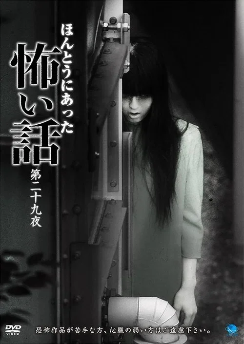Scary True Stories: Night 29 (2014)