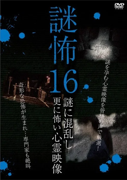 謎怖 16 謎に混乱し更に怖い心霊映像