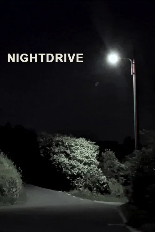 Nightdrive