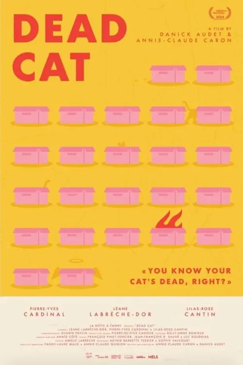 Gato muerto