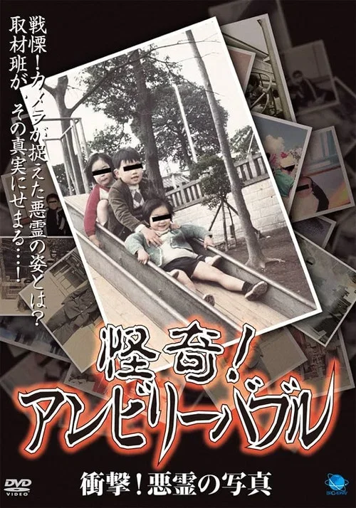 怪奇！アンビリーバブル 衝撃！悪霊の写真 (2008)