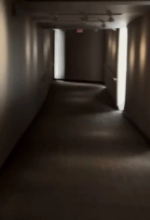 Algo en la camara