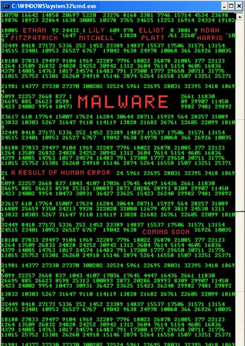 MALWARE