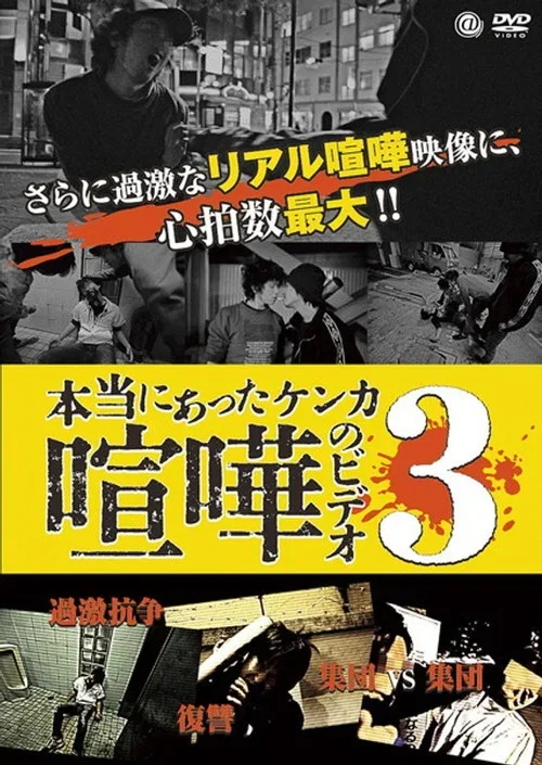 本当にあった喧嘩のビデオ 3 (2012)