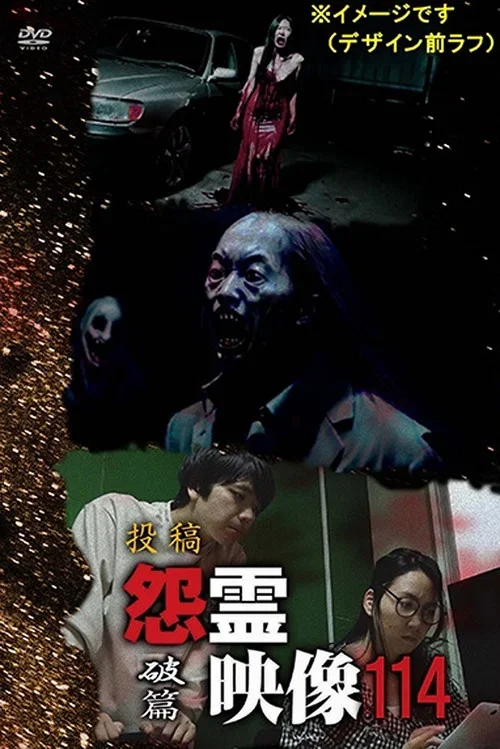Posted Grudge Spirit Footage Vol.114: Destruction Chapter (2024)