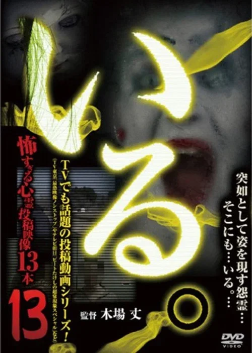 「Iru.」~ Kowasugiru Tōkō Eizō 13-hon ~ Vol.13 (2015)