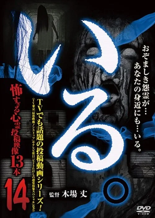 「Iru.」~ Kowasugiru Tōkō Eizō 13-hon ~ Vol.14 (2015)