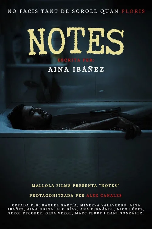 Notes