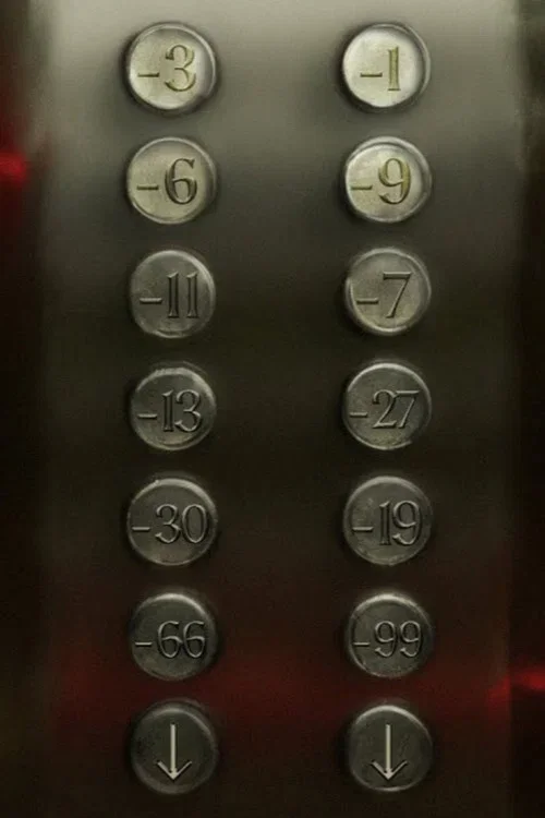 The Elevator