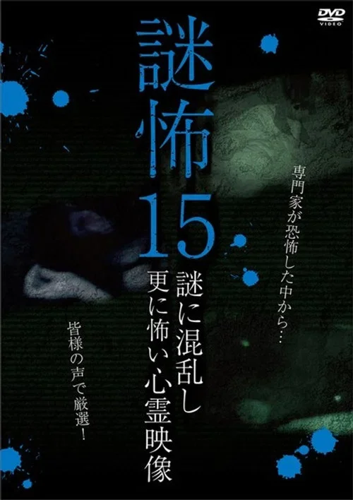 謎怖 15 謎に混乱し更に怖い心霊映像