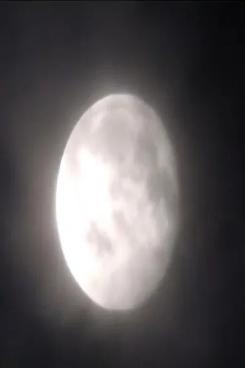 Binghamton Film Experiments #1 (2026)