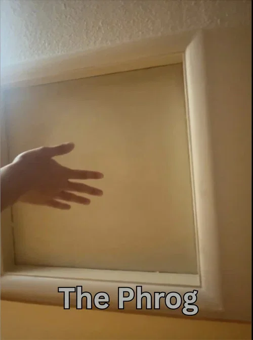 The Phrog