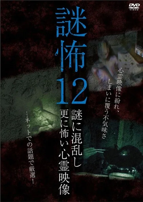 謎怖 12 謎に混乱し更に怖い心霊映像
