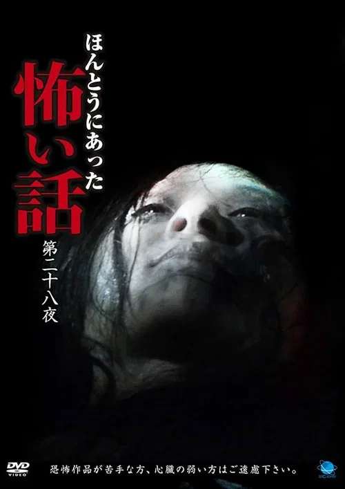 Scary True Stories: Night 28 (2014)